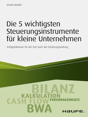 cover image of Die 5 wichtigsten Steuerungsinstrumente für kleine Unternehmen